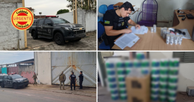 Operação “Caviar da Dengue” investiga fraude milionária em contrato entre empresa e Prefeitura de Aparecida de Goiânia para controle do Aedes Aegypti