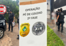 Polícia Civil de Goiás avança em combate a fraudes digitais e desarticula organização criminosa em Goiânia