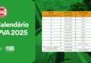 ​IPVA 2025: Vence nesta terça-feira (15) a 4ª parcela do imposto em Goiás