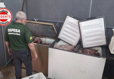 Fábrica clandestina de carne de cavalo é fechada em Anápolis; 790 kg de produtos são apreendidos
