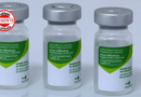 Goiás recebe 188 mil doses da vacina contra a gripe; campanha começa em abril