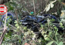 Tragédia na BR-060: motociclista morre após perder controle e colidir com árvore em Abadiânia