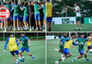 Goiás e Paysandu decidem título da Copa Verde nesta quarta-feira no Serra Dourada