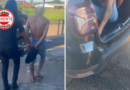 Homem é Preso em Goiás Suspeito de Torturar e Manter Mulher em Cárcere Privado na Frente do Filho de 9 Anos
