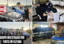 Operação em Barra do Garças investiga grupo do MT por furto de novilhas em fazenda de Aragarças