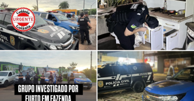 Operação em Barra do Garças investiga grupo do MT por furto de novilhas em fazenda de Aragarças