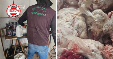 Agrodefesa fecha abatedouro clandestino em Aragoiânia e apreende mais de uma tonelada de carne suína imprópria
