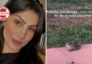 Corretora é picada por cascavel durante gravação em condomínio de Anápolis; ataque foi registrado em vídeo