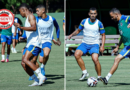 Goiás encara Avaí em confronto direto por vaga no G4 da Série B e reencontra Jair Ventura na Serrinha