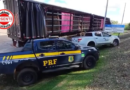 PRF Intercepta Caminhão com 52 m³ de Madeira Ilegal na BR-153 em Anápolis