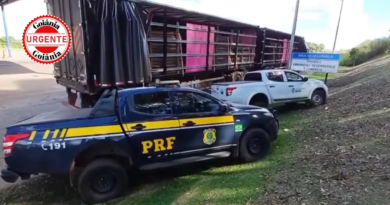 PRF Intercepta Caminhão com 52 m³ de Madeira Ilegal na BR-153 em Anápolis