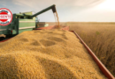 Impulso da Agropecuária Alavanca PIB Brasileiro em 1,4% no Primeiro Trimestre de 2025