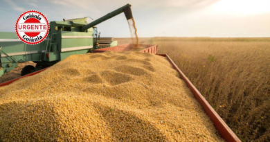 Impulso da Agropecuária Alavanca PIB Brasileiro em 1,4% no Primeiro Trimestre de 2025