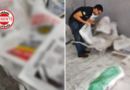 Polícia Civil desmonta fábrica clandestina de suplementos veterinários em Goiás: produtos eram vendidos com selo falsificado do governo federal
