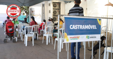 Prefeitura de Aparecida realiza grande mutirão com mais de 100 serviços gratuitos para a população da Região Leste