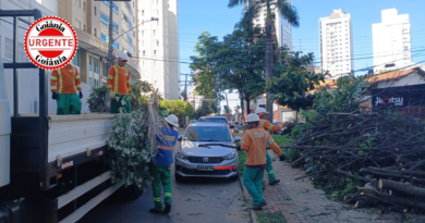 Polêmica em Goiânia: Operação de Poda na Marginal Botafogo Gera Acusações de ‘Desmate’