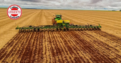 Goiás inicia vazio sanitário da soja em 27 de junho para conter ferrugem asiática e proteger próxima safra