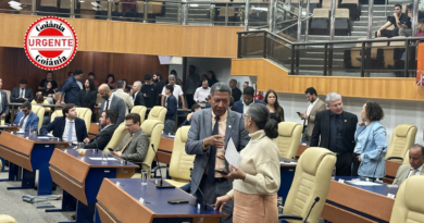 Presença estratégica da secretária de Educação destrava votação de projeto polêmico na Câmara de Goiânia