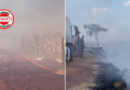 Incêndio em lixão de Piracanjuba avança sobre fazendas e escancara colapso ambiental: “Nós avisamos tanto”, desabafa moradora