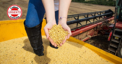 PIB de Goiás avança 7,7% no 1º trimestre de 2025 e lidera crescimento entre estados impulsionado pelo agronegócio