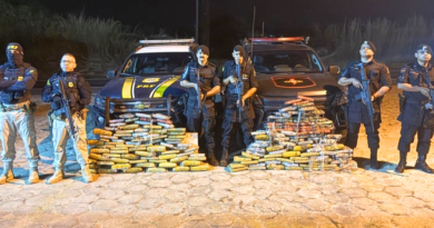 Ação conjunta entre PRF e PMGO intercepta rota do tráfico e apreende mais de 200 kg de drogas na Cidade de Goiás