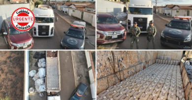 Polícia Intercepta 6 Toneladas de Agrotóxicos Contrabandeados em Silvânia: Carga Está Avaliada em R$ 2 Milhões