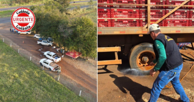 Gripe aviária em Goiás: fazenda com mortes de mais de 100 galinhas é isolada, desinfectada e cercada por barreiras sanitárias