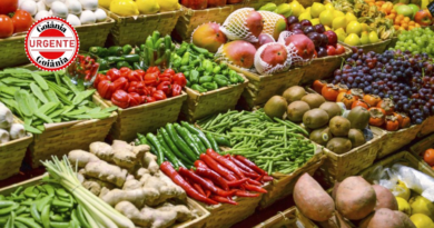 Cesta básica fica mais barata em 24 capitais e confirma alívio no orçamento das famílias brasileiras