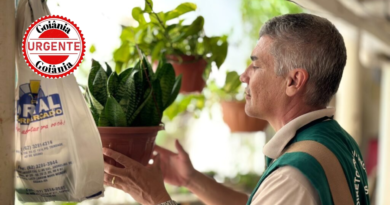 Goiânia reduz quase pela metade os casos de dengue em 2025 após intensificação do combate ao Aedes aegypti