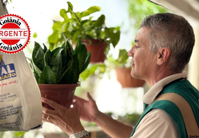 Goiânia reduz quase pela metade os casos de dengue em 2025 após intensificação do combate ao Aedes aegypti