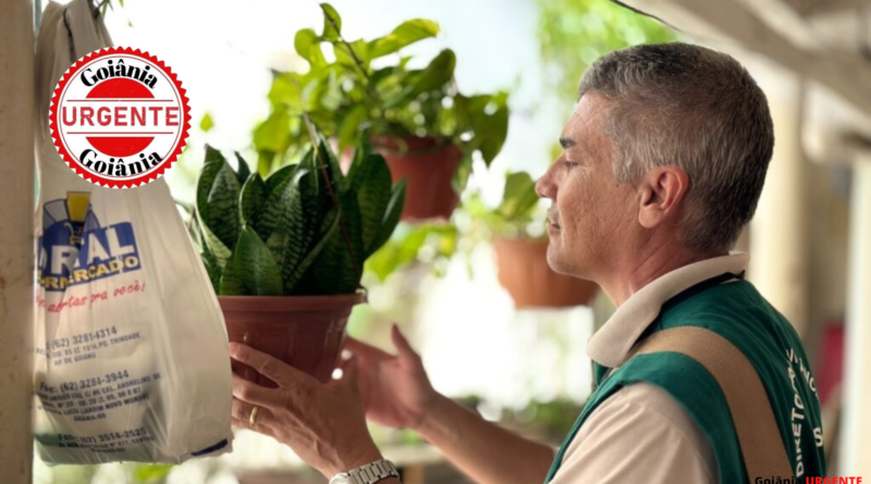 Goiânia reduz quase pela metade os casos de dengue em 2025 após intensificação do combate ao Aedes aegypti