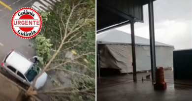 Temporal com ventos intensos causa danos e mobiliza equipes na região Noroeste de Goiânia