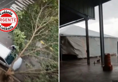 Temporal com ventos intensos causa danos e mobiliza equipes na região Noroeste de Goiânia