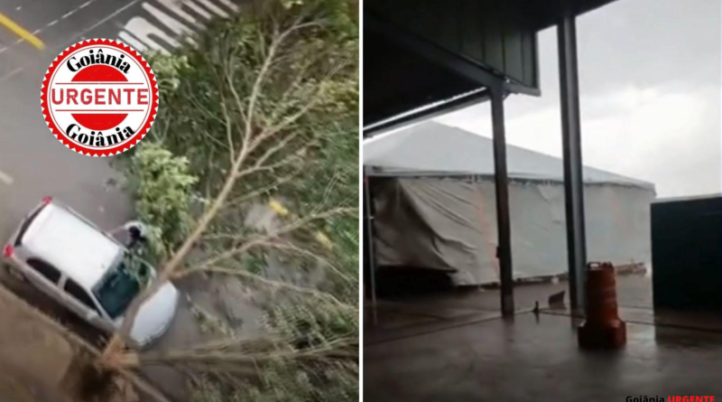 Temporal com ventos intensos causa danos e mobiliza equipes na região Noroeste de Goiânia