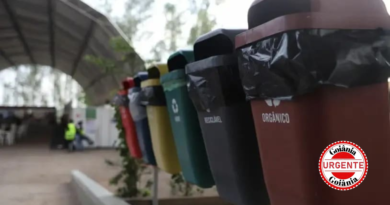 Metade das maiores cidades de Goiás ainda não implementa coleta seletiva, aponta TCM