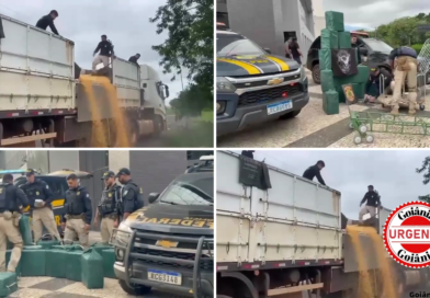 Operação integrada intercepta mais de uma tonelada de cocaína em rotas estratégicas do Centro-Norte do país
