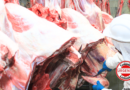 Goiás ultrapassa US$ 2 bilhões em exportações de carne bovina e reforça protagonismo no comércio internacional