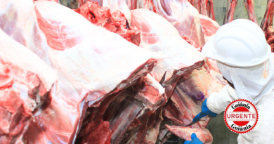 Goiás ultrapassa US$ 2 bilhões em exportações de carne bovina e reforça protagonismo no comércio internacional