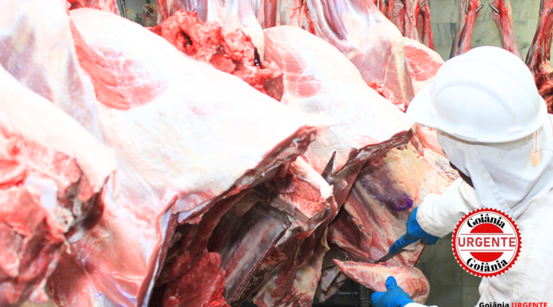 Goiás ultrapassa US$ 2 bilhões em exportações de carne bovina e reforça protagonismo no comércio internacional
