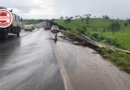 Engavetamento na BR-060 envolve carretas, carro-forte e veículo de passeio e deixa três mortos, em Goianápolis