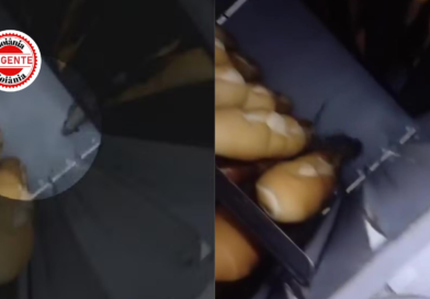 Empresário é preso após fiscalização flagrar condições sanitárias graves em supermercado de Aparecida de Goiânia