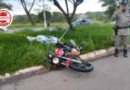 Colisão com animal solto na GO-070 provoca morte de motociclista e reacende alerta sobre segurança viária