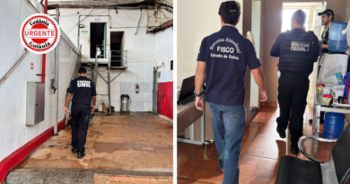 Operação apura esquema de R$ 190 milhões em sonegação no setor de carnes em Goiás