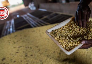 Goiás amplia saldo externo e encerra 2025 com superávit de US$ 8 bilhões, 20% acima do ano anterior