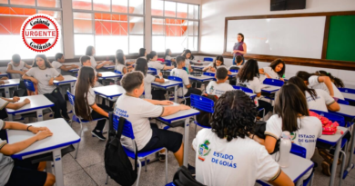 Governo de Goiás amplia quadro da educação estadual com a nomeação de 533 novos professores