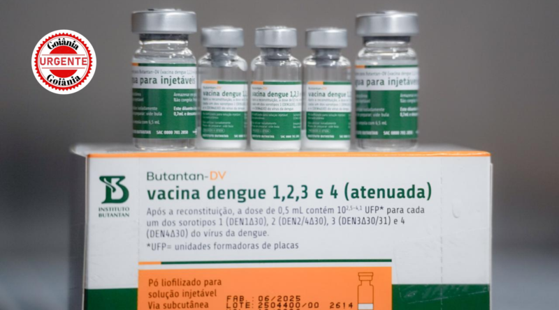 Goiás inicia distribuição da vacina Butantan-DV contra dengue e prioriza profissionais de saúde