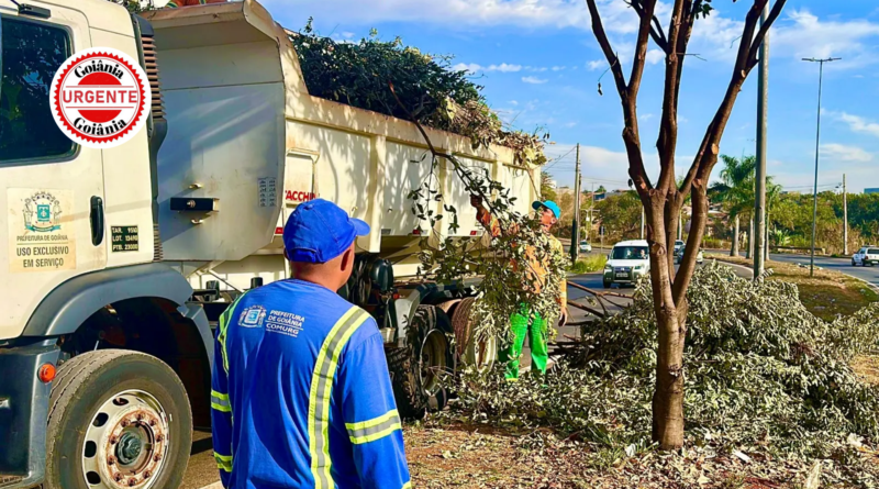 Prefeitura de Goiânia prioriza zeladoria urbana e saúde como eixos centrais da gestão municipal