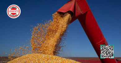 Economia de Goiás acelera e supera média nacional com crescimento sólido de 3,8%