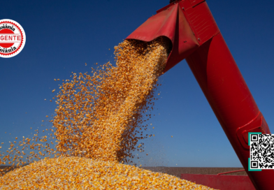 Economia de Goiás acelera e supera média nacional com crescimento sólido de 3,8%