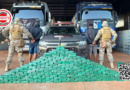 COD intercepta 180 kg de cocaína em rodovia goiana e desarticula transporte interestadual